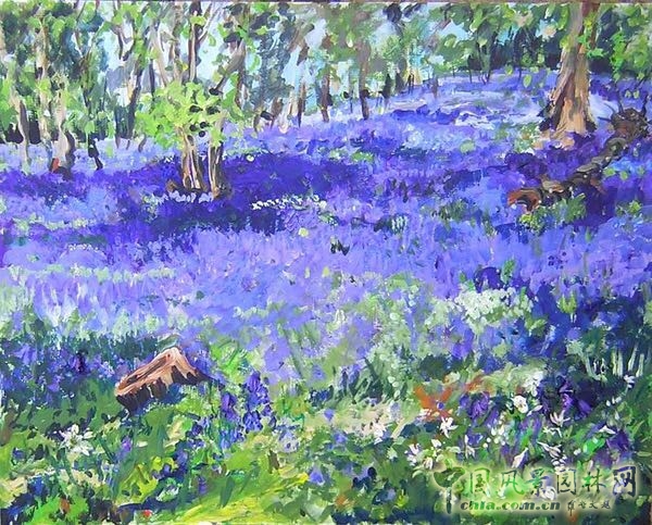 讓我碰見一個藍鈴花般的姑娘？——小記英國鄉土野花寶貝