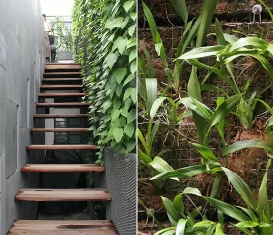 WOHA：與城市共命運（多圖）