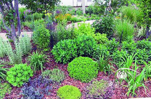 巧用綠化廢棄物變豐富景觀