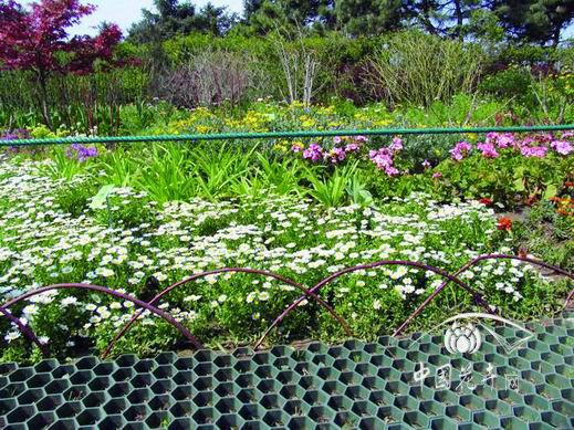 巧用綠化廢棄物變豐富景觀