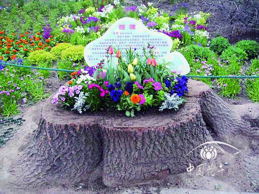 巧用綠化廢棄物變豐富景觀