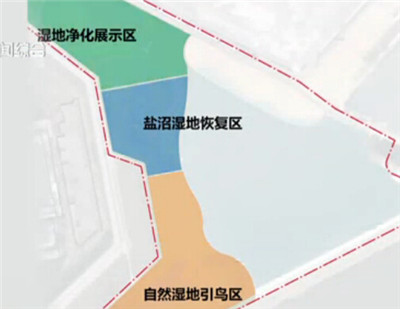 上海首個濱海濕地公園“鸚鵡洲”濕地公園開工建設(shè)