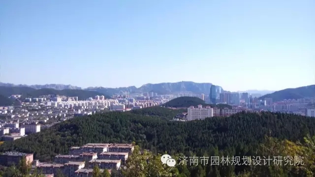 濟南市園林規(guī)劃設計研究院獲獎作品賞析