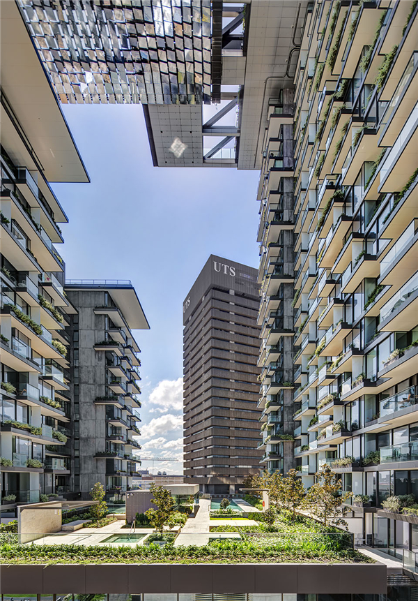 澳大利亞悉尼中央花園（多圖）