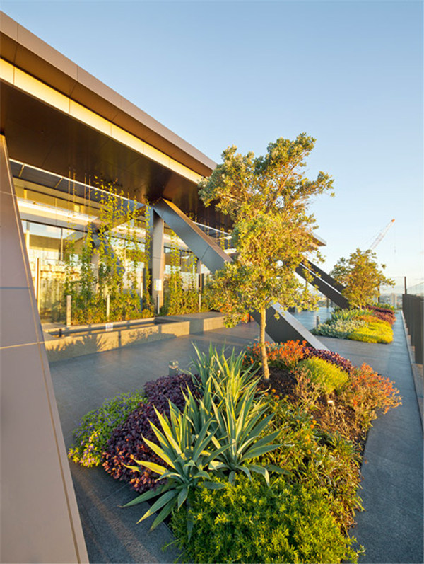 澳大利亞悉尼中央花園（多圖）