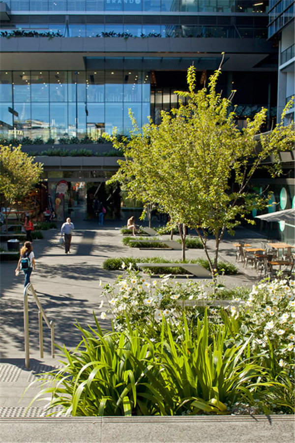 澳大利亞悉尼中央花園（多圖）
