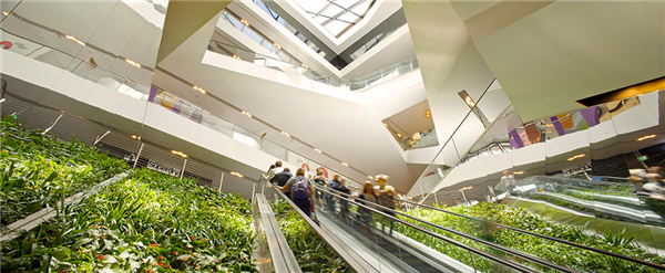 澳大利亞悉尼中央花園（多圖）