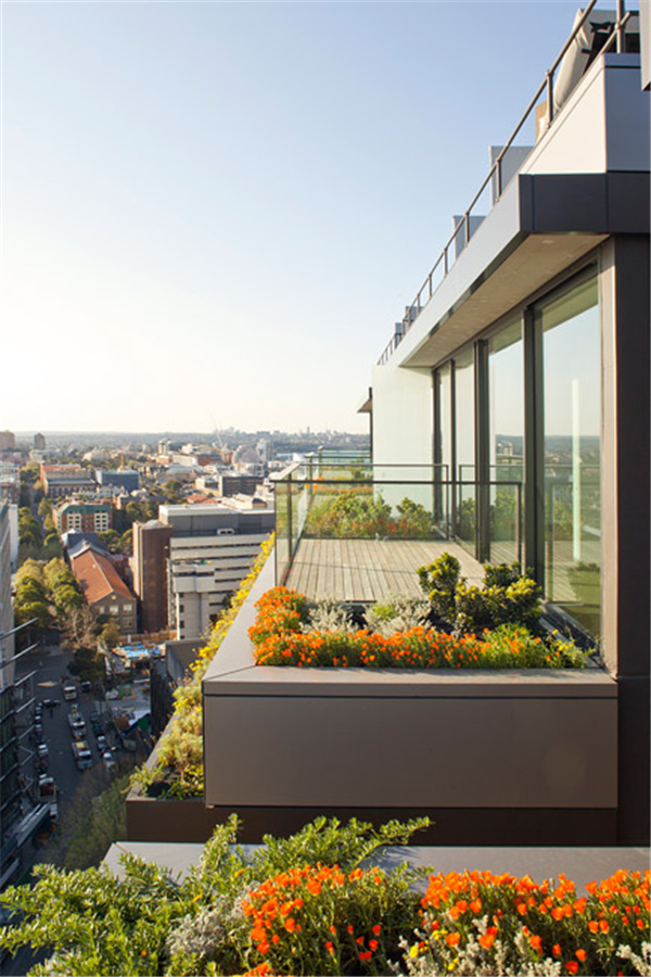 澳大利亞悉尼中央花園（多圖）