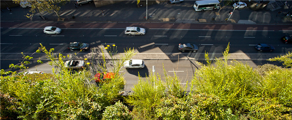 澳大利亞悉尼中央花園（多圖）