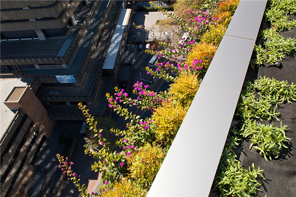 澳大利亞悉尼中央花園（多圖）