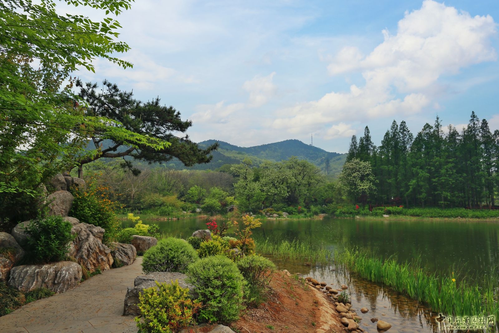 杭州園林榮獲2014、2015年度江蘇省優(yōu)質工程獎“揚子杯”