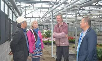 北美冬青考察團赴荷蘭考察報告