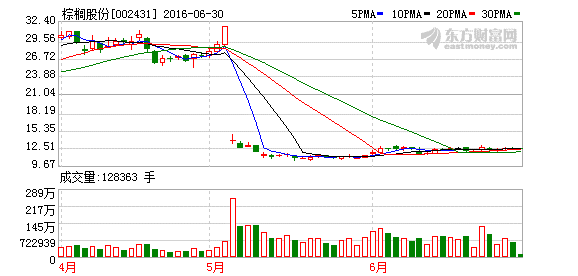 棕櫚股份擬1.7億參股嘉達早教