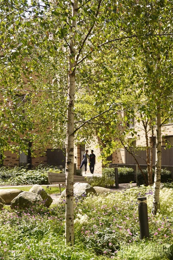 英國堡貝門利圣安德魯斯住區景觀