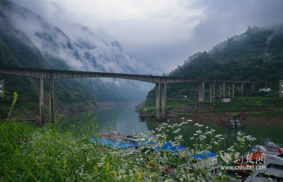 清江蝴蝶崖景區的“絕美畫卷”