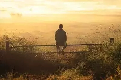 如何成為園林工程領域的1%