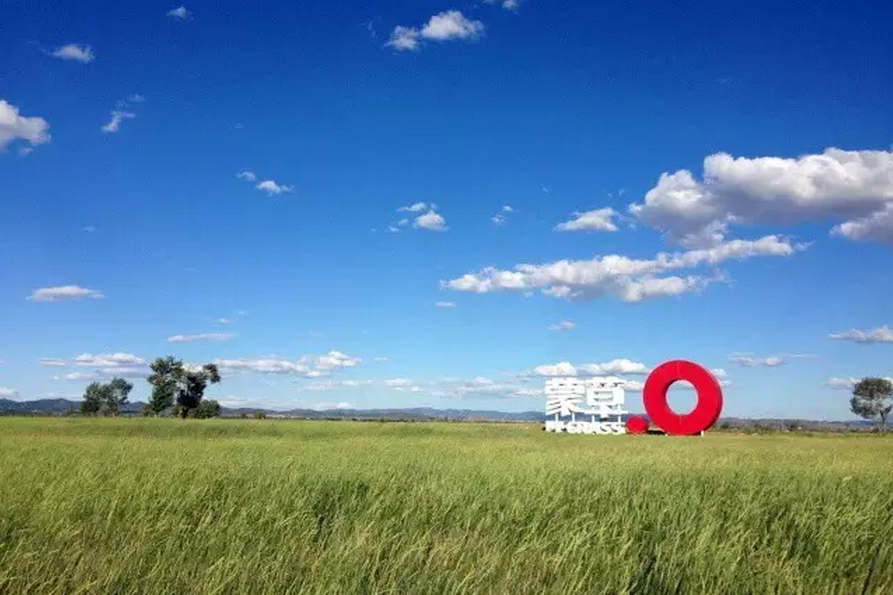 種子的力量即蒙草好種源