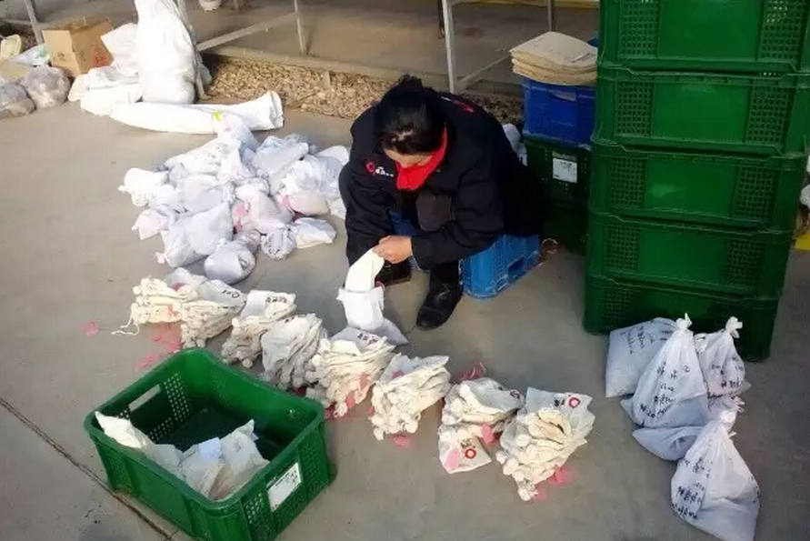 種子的力量即蒙草好種源