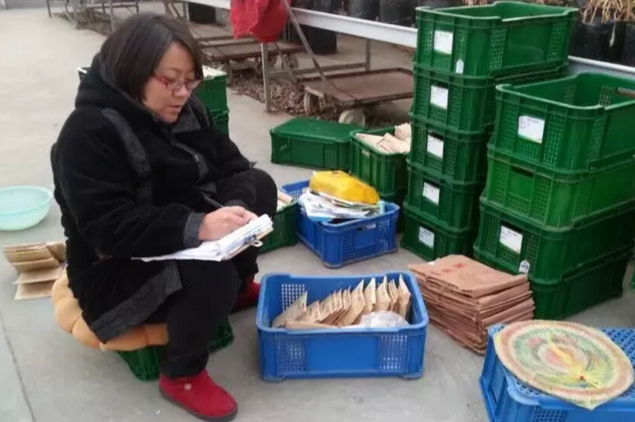 種子的力量即蒙草好種源