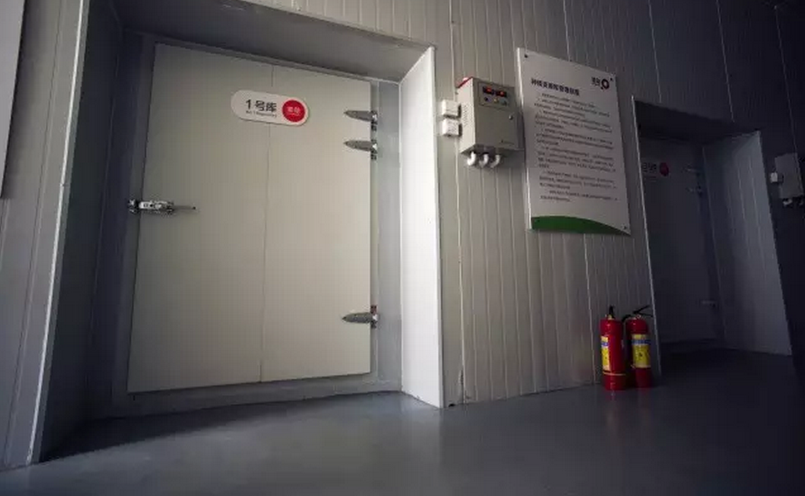 種子的力量即蒙草好種源