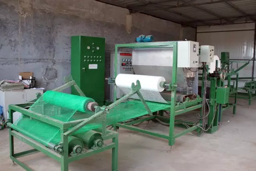 種子的力量即蒙草好種源