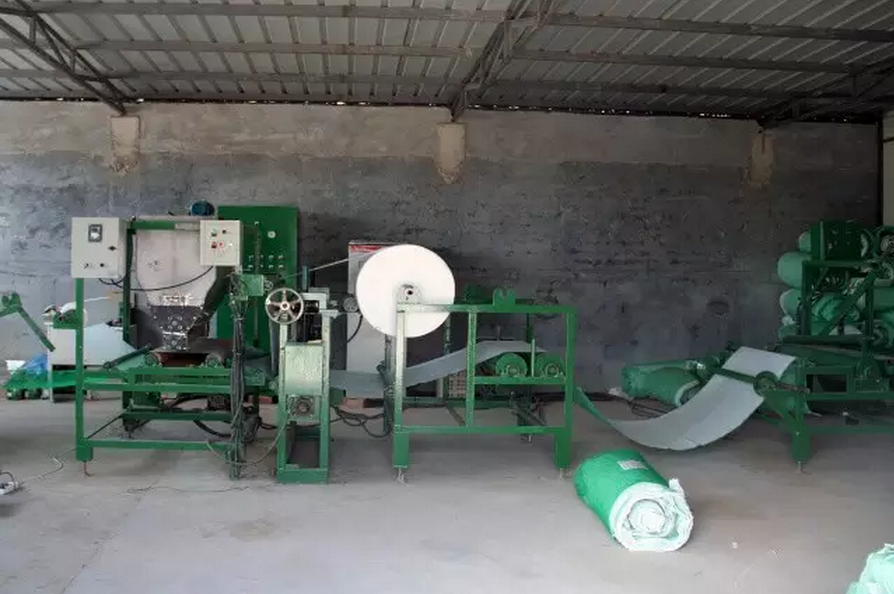 種子的力量即蒙草好種源