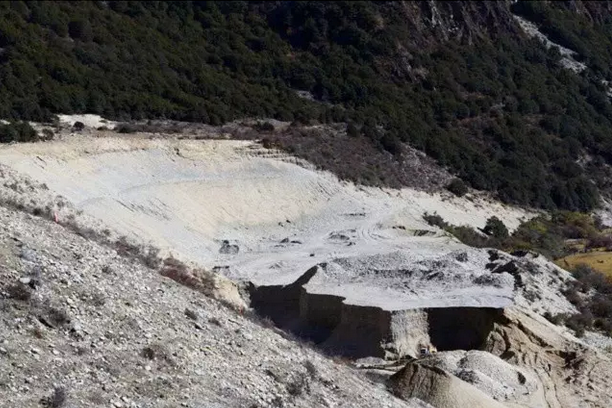 種子的力量即蒙草好種源