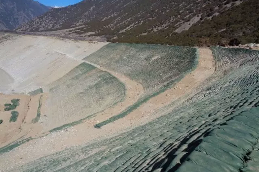 種子的力量即蒙草好種源