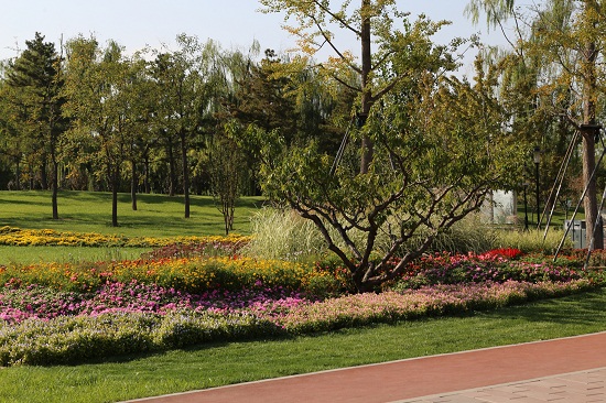 北京望和公園規劃設計分析