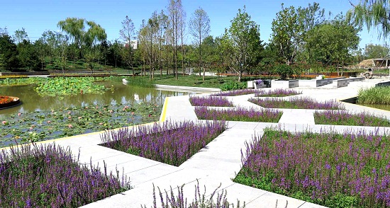 北京望和公園規(guī)劃設(shè)計(jì)分析