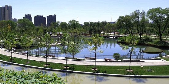 北京望和公園規(guī)劃設(shè)計(jì)分析