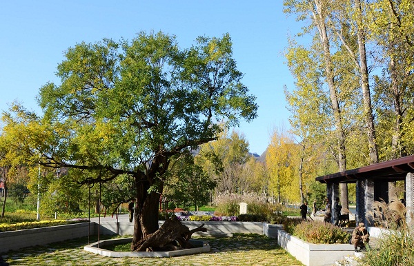 北京雁棲湖生態發展示范區公園景觀建設工程