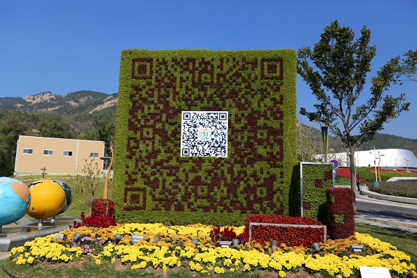 2014青島世園會立體花壇圖片賞析