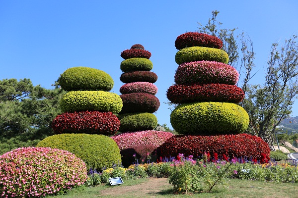 2014青島世園會立體花壇圖片賞析