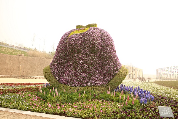 2014青島世園會(huì)立體花壇圖片賞析