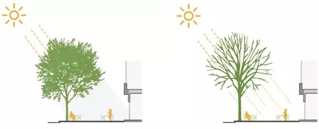 搶先看：《上海市街道設計導則》公示