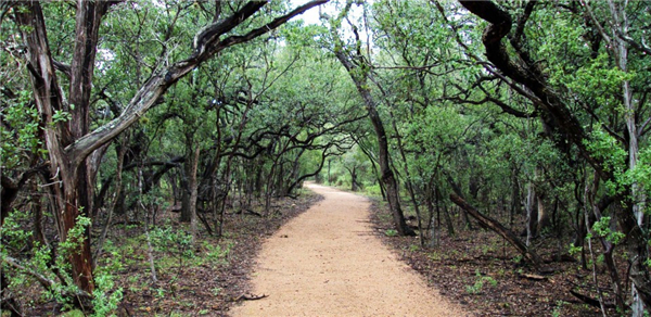 圣安東尼奧菲爾·哈德伯格公園