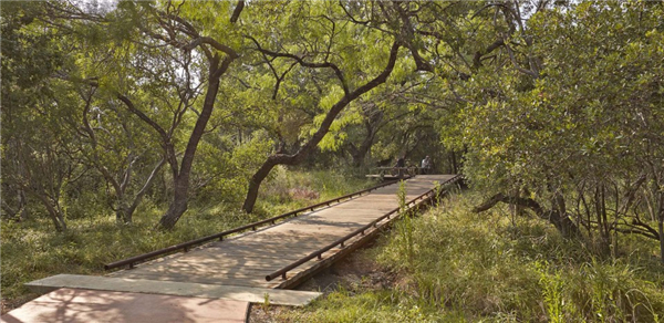 圣安東尼奧菲爾·哈德伯格公園