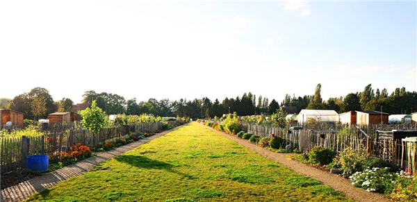 比利時Groot Schijn公園景觀