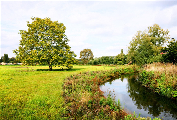 比利時Groot Schijn公園景觀