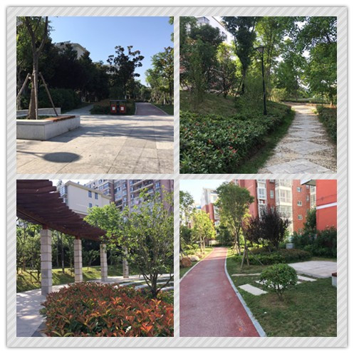 華藝生態喜獲2015年城鎮園林綠化精品示范工程
