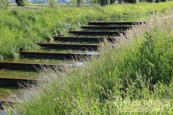 瑞士日內瓦艾爾河生態修復工程賞析