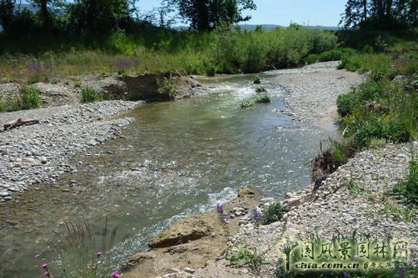 瑞士日內瓦艾爾河生態修復工程賞析