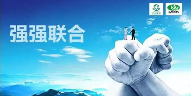 江蘇三葉園林一“櫸”成名天下知