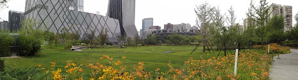 中央電視臺新臺址建設工程媒體公園設計（C標段）