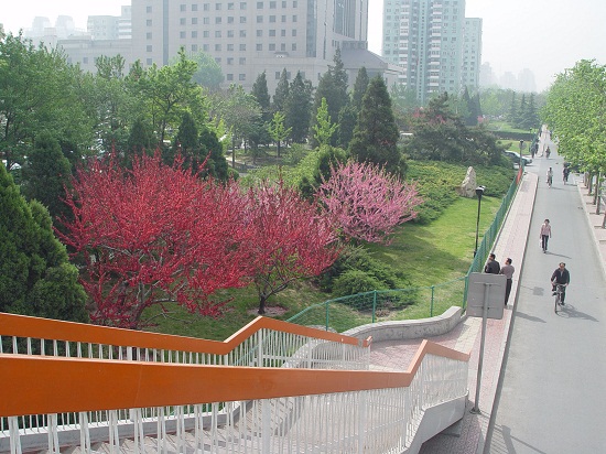 北京市重點城市道路規劃設計