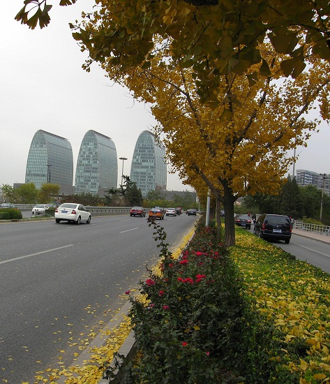 北京市重點城市道路規劃設計