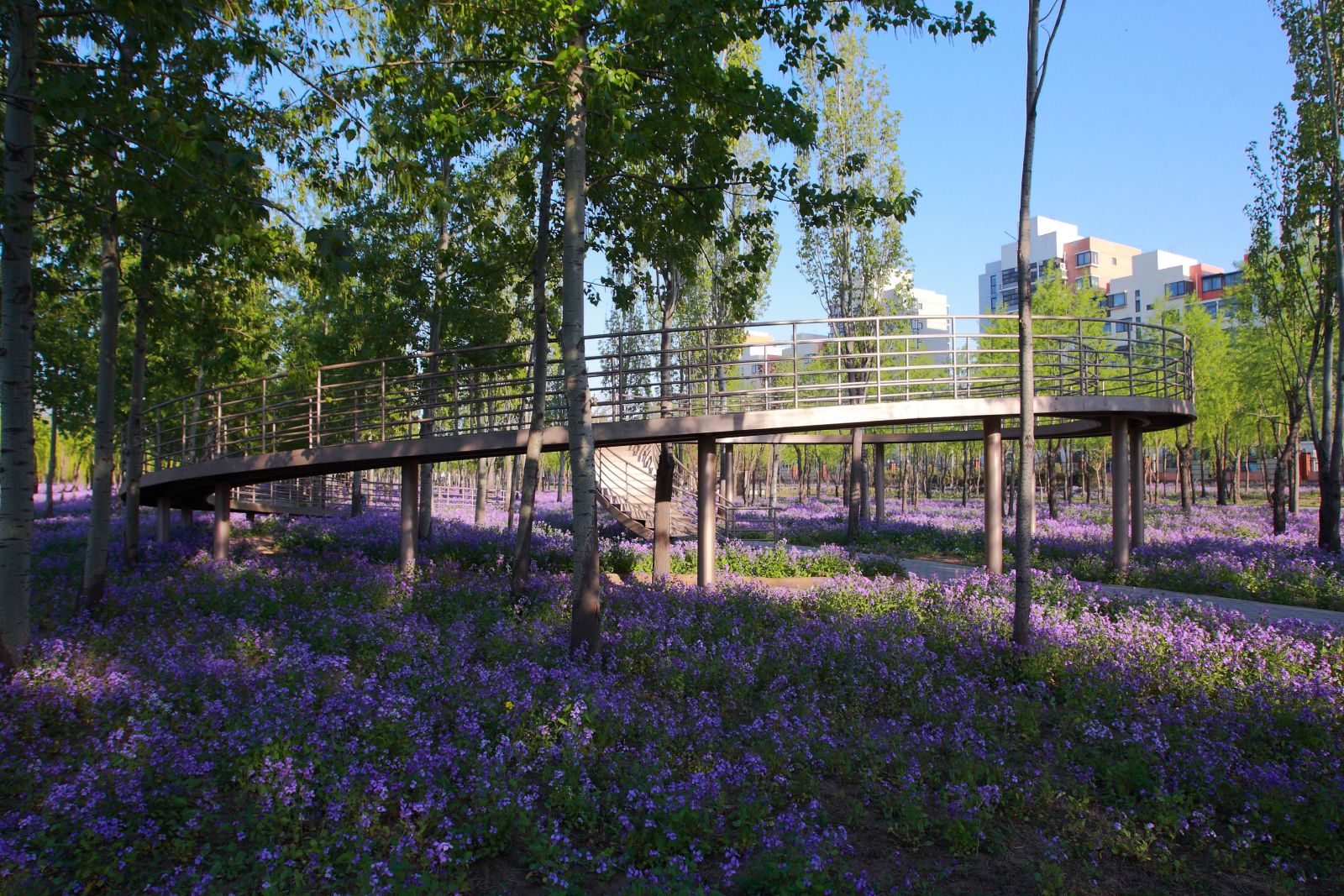 萬科青青林趣園規(guī)劃設(shè)計賞析