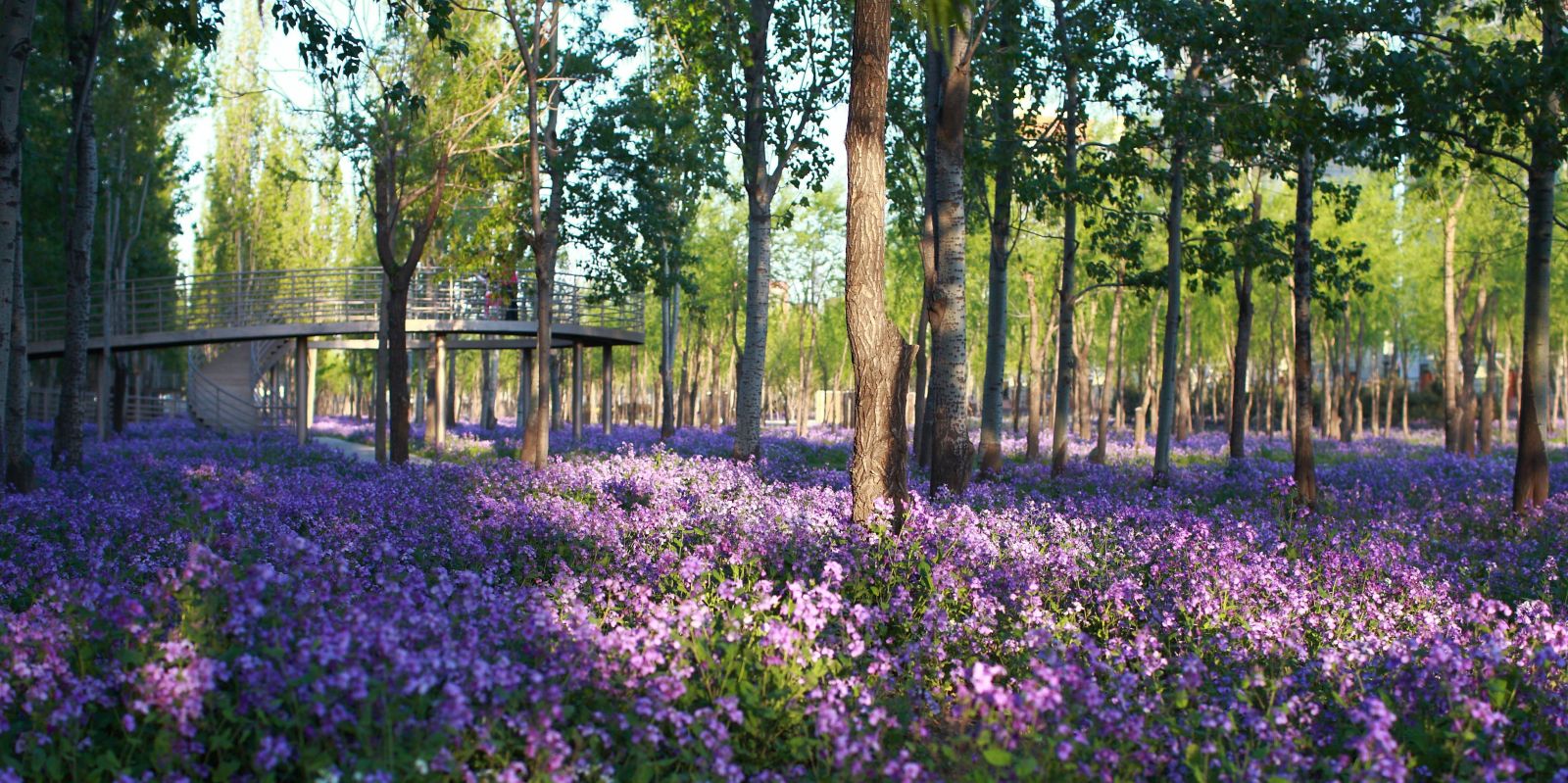 萬科青青林趣園規(guī)劃設計賞析