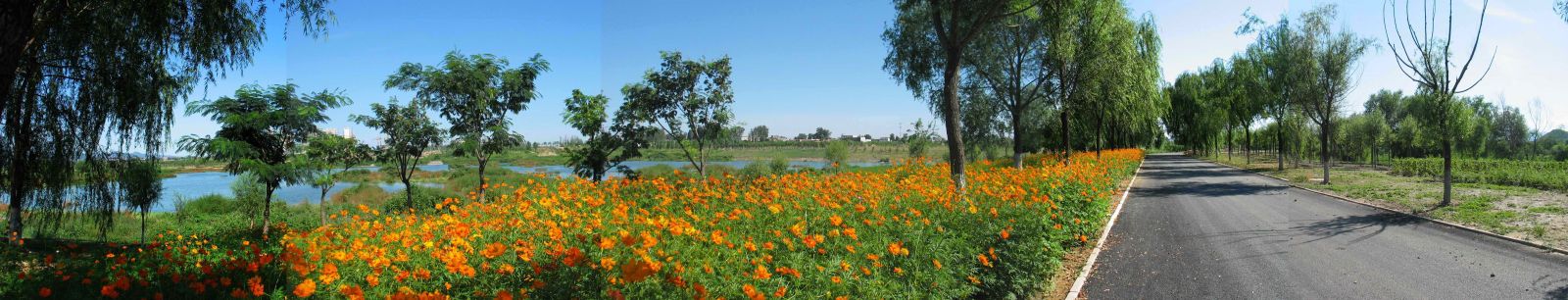 北京昌平新城萬畝濱河森林公園規劃設計